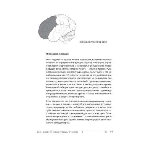 Держи мозг в тонусе. Скандинавская методика тренировки интеллекта