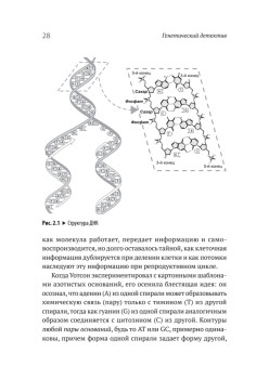 Генетический детектив. От исследования рибосомы к Нобелевской премии