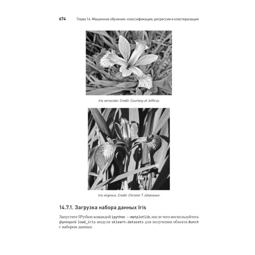 Python: Искусственный интеллект, большие данные и облачные вычисления