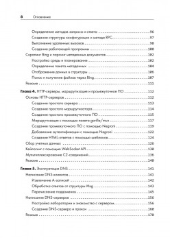 Black Hat Go: Программирование для хакеров и пентестеров