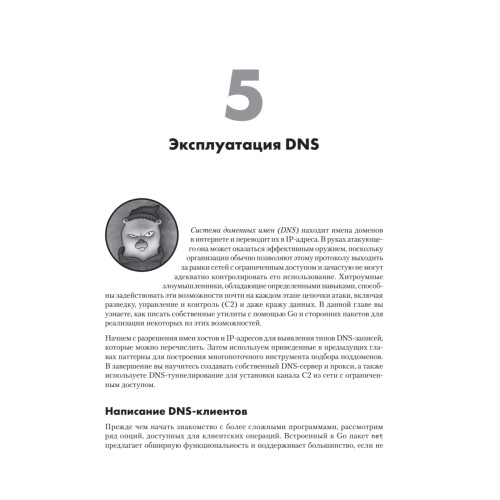 Black Hat Go: Программирование для хакеров и пентестеров