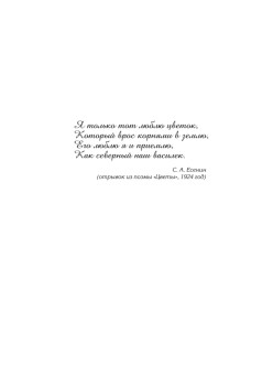 Эстонцы в Беларуси