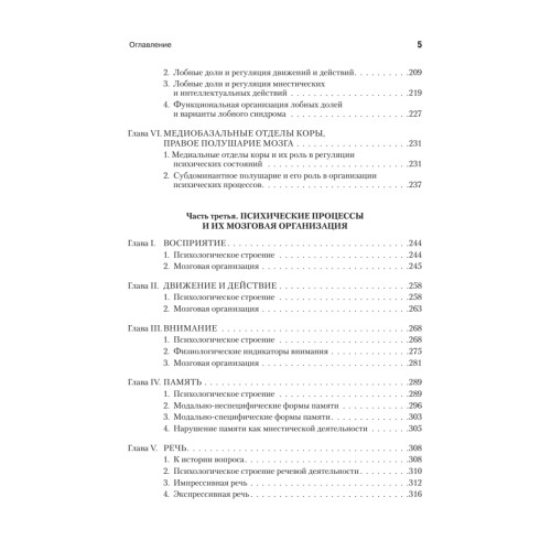 Основы нейропсихологии