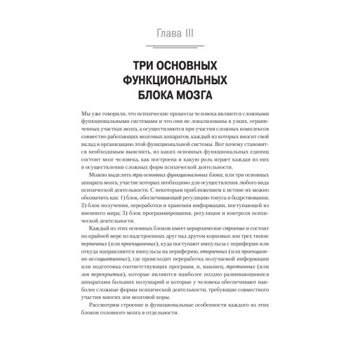 Основы нейропсихологии