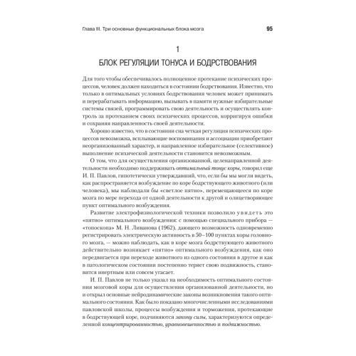 Основы нейропсихологии