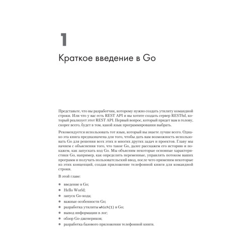 Golang для профи: Создаем профессиональные утилиты, параллельные серверы и сервисы, 3-е изд.