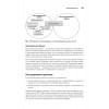 System Design. Машинное обучение. Подготовка к сложному интервью