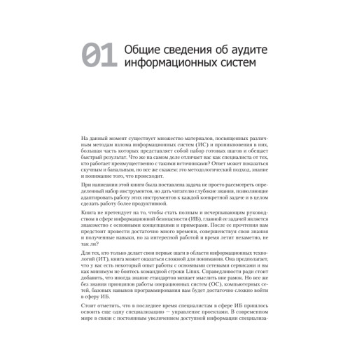 Kali Linux в действии. Аудит безопасности информационных систем. 2-е издание