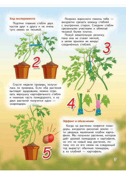 Весёлые научные опыты. Увлекательные эксперименты с растениями и солнечным светом