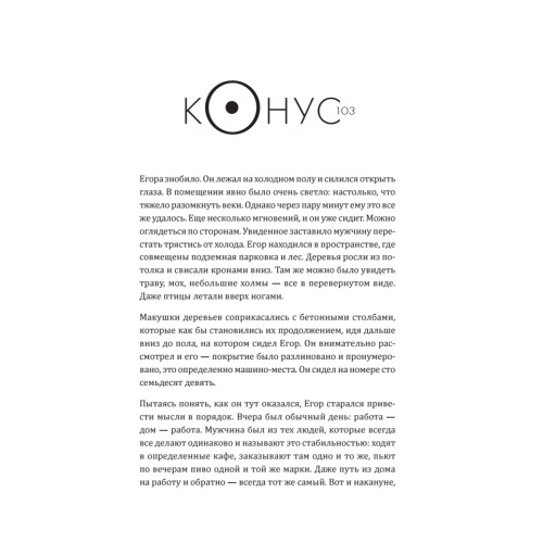 Конус 103. Книга о человеке, который не захотел оставаться среднестатистическим