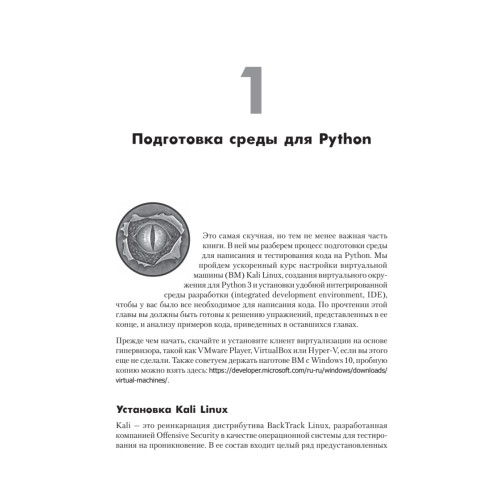 Black Hat Python: программирование для хакеров и пентестеров, 2-е изд