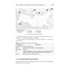 Основы российской государственности. Учебник для вузов