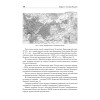Основы российской государственности. Учебник для вузов