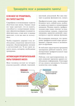 Заставь мозг работать. Эффективная тренировка памяти и мышления в любом возрасте. Выпуск 11