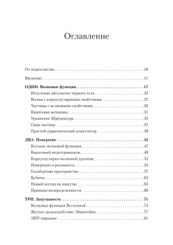 Кванты и поля. Величайшие идеи Вселенной