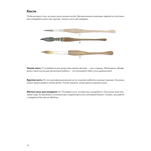 Рисуем акварелью: птицы леса и сада
