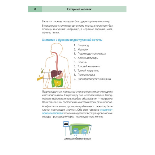 Сахарный человек. Все, что вы хотели знать о сахарном диабете 1-го типа