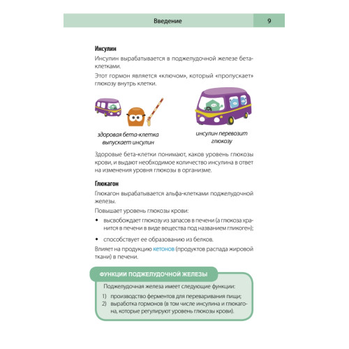 Сахарный человек. Все, что вы хотели знать о сахарном диабете 1-го типа