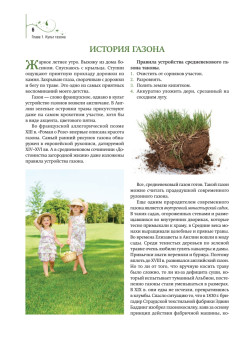 Газон, живая изгородь, дорожки на садовом участке