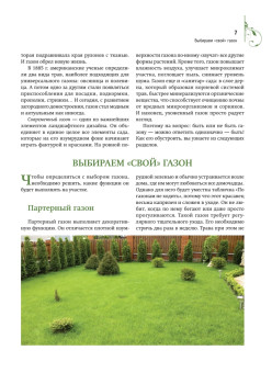 Газон, живая изгородь, дорожки на садовом участке