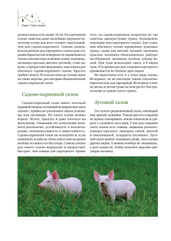 Газон, живая изгородь, дорожки на садовом участке