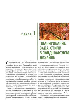 Ландшафтный дизайн на небольшом участке