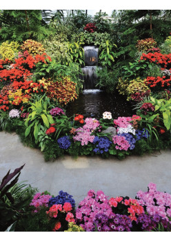 Цветы на балконе и лоджии