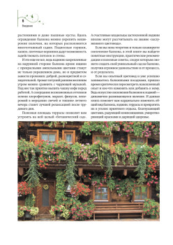 Цветы на балконе и лоджии