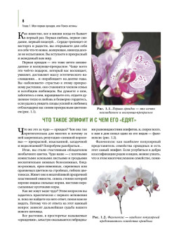 Орхидеи: выбираем, ухаживаем, наслаждаемся