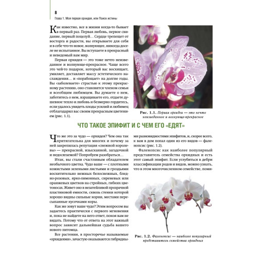 Орхидеи: выбираем, ухаживаем, наслаждаемся