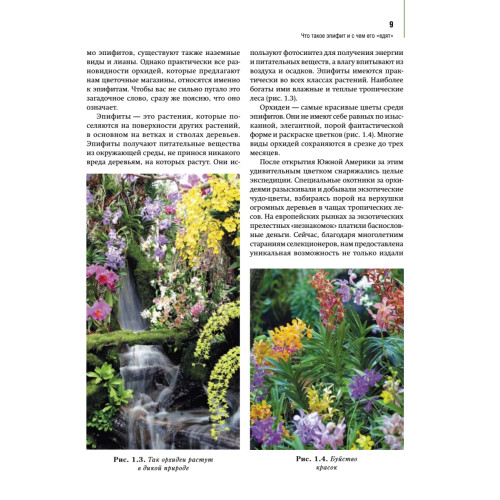 Орхидеи: выбираем, ухаживаем, наслаждаемся