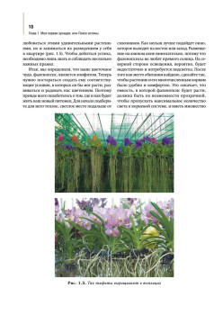 Орхидеи: выбираем, ухаживаем, наслаждаемся