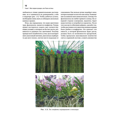 Орхидеи: выбираем, ухаживаем, наслаждаемся