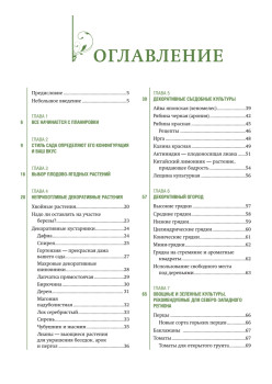 Шесть соток радуют и кормят. Дизайн дачного участка