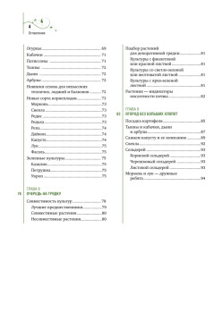 Шесть соток радуют и кормят. Дизайн дачного участка