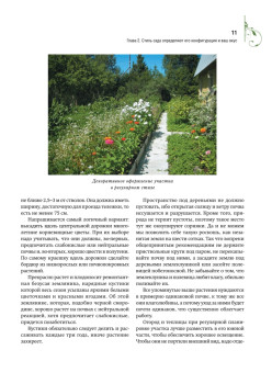 Шесть соток радуют и кормят. Дизайн дачного участка