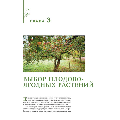 Шесть соток радуют и кормят. Дизайн дачного участка