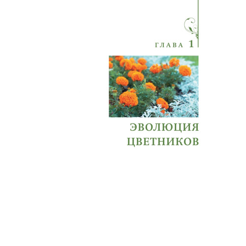 Цветники и клумбы