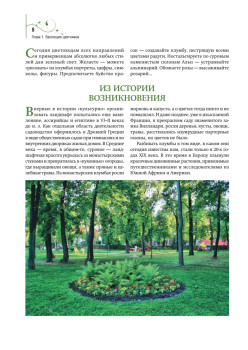 Цветники и клумбы