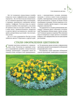 Цветники и клумбы