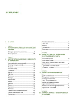 Луковичные цветы: выбираем, выращиваем, наслаждаемся