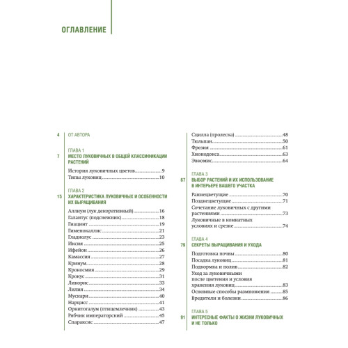 Луковичные цветы: выбираем, выращиваем, наслаждаемся