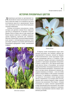 Луковичные цветы: выбираем, выращиваем, наслаждаемся