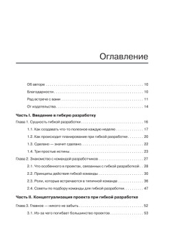 Гибкое управление IT-проектами. Руководство для настоящих самураев