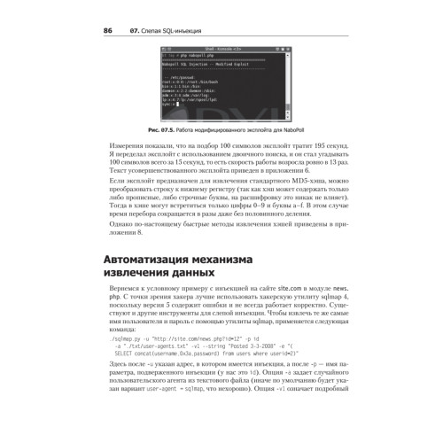 Основы веб-хакинга: нападение и защита (+DVD) 2-е изд.