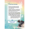Санкт-Петербург. Путеводитель по местам, где сбываются мечты. St.Petersburg. Wishes Guidebook