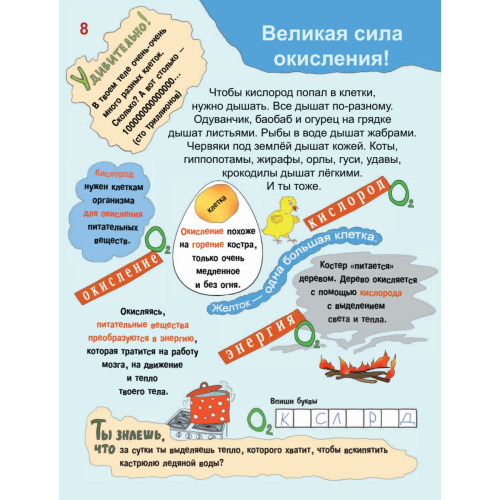 Почему сердце стучит, а живот урчит? 7+