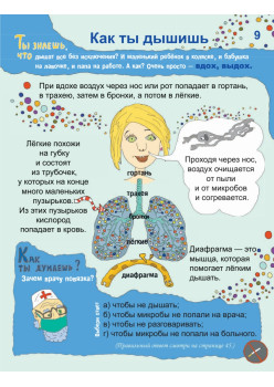 Почему сердце стучит, а живот урчит? 7+