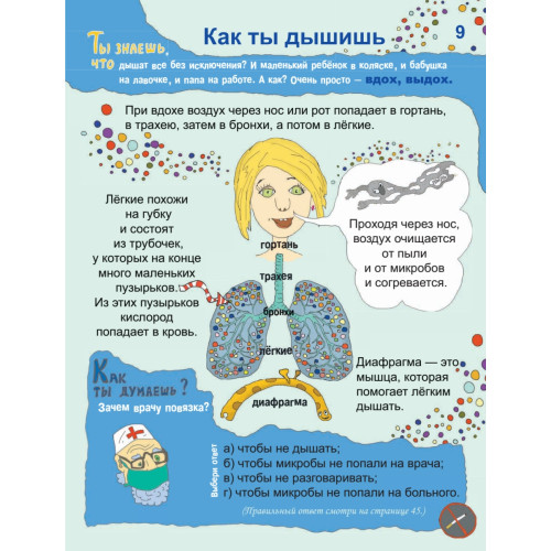 Почему сердце стучит, а живот урчит? 7+
