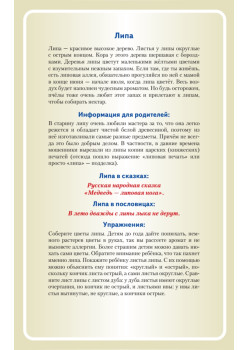 Деревья. Книга+карточки 0+